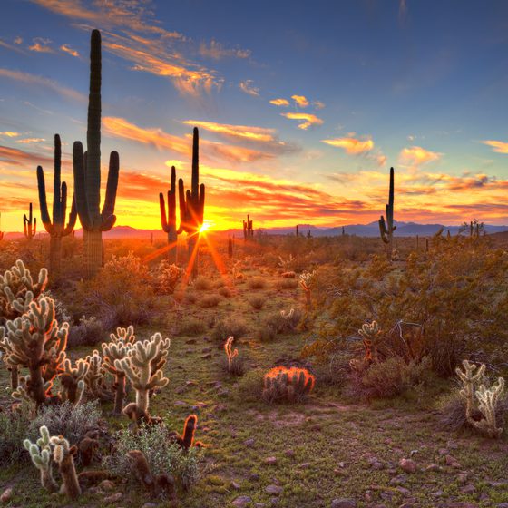 Quartzsite to Phoenix Shuttle AZ Door from PHX Airport Arizona